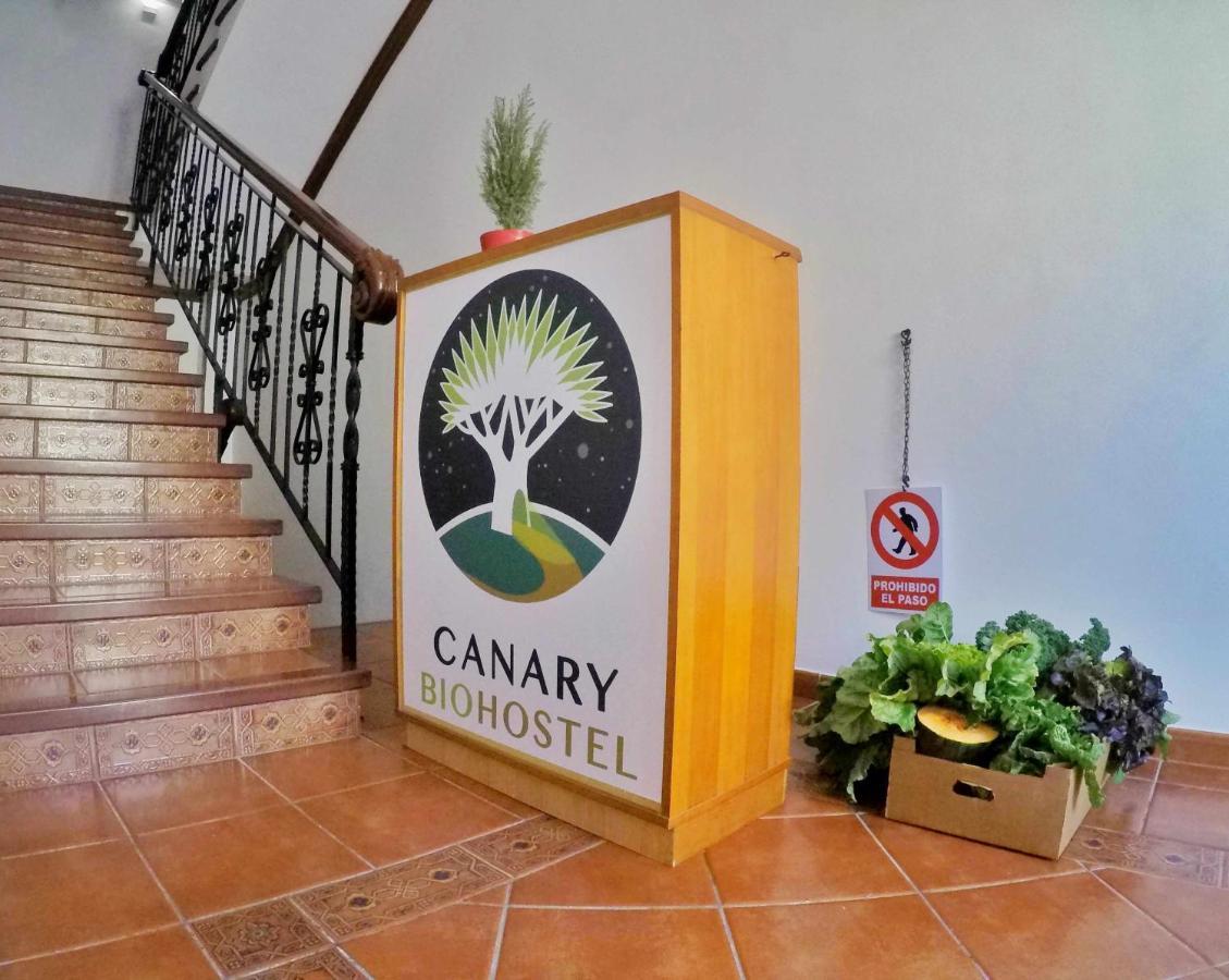 Canary Bio Hostel Tenerife Los Realejos Luaran gambar